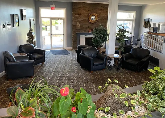 Motel: Red Carpet Inn Albany